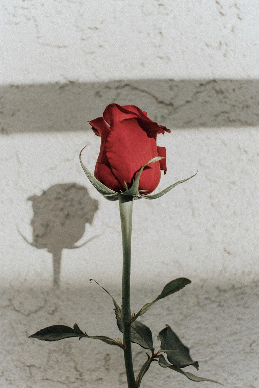Rose — handmade crochet flower